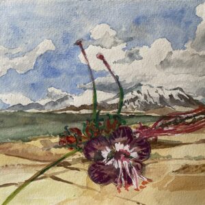 Flor Purpura