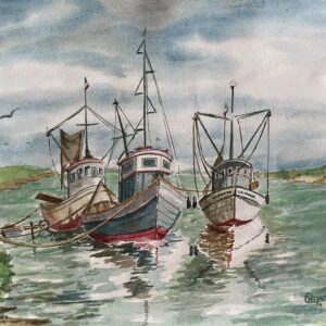 Barcos Tuxpan