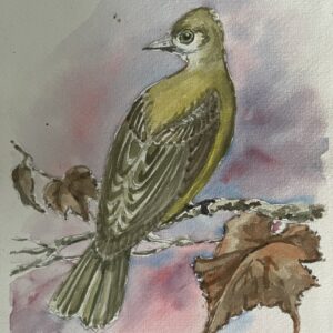 Pajarillo